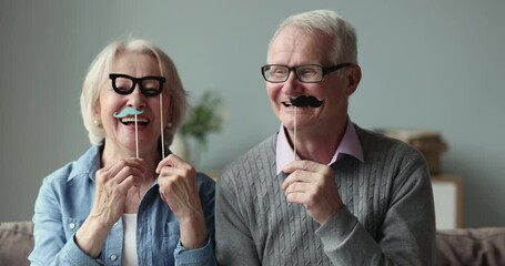 Cheerful elderly couple sit on couch hold funny birthday and party set, carnival accessories, fake glasses and mustaches on wooden sticks smile look at camera celebrate life event, fiesta feel happy - Powered by Adobe