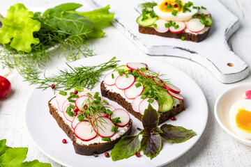 Healthy sandwiches with radish, cucumber, cottage cheese, sprinkled with green onions and pink pepper