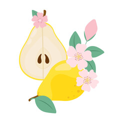 Pear in flat style. Yellow and ripe pear among flowers. Pear cut.