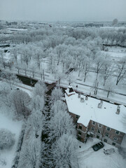 Snow covered trees, city in winter season, road with traffic by the city park. .
