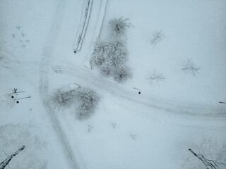 Snow covered trees, city park in winter season, road with traffic by the city park.
