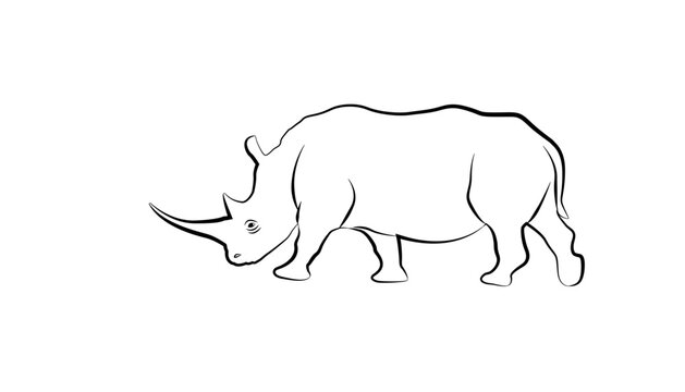 Silhouette vector illustration of standing rhinoceros Rhino view for logo Rhino Vector illustration. can be separated from the background