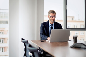 Confident businessman with laptop sitting at office desk and working