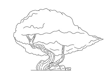 tree sketch illustration, coloring book design