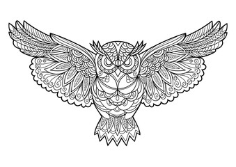 Owl coloring book for adults PNG illustration with transparent background