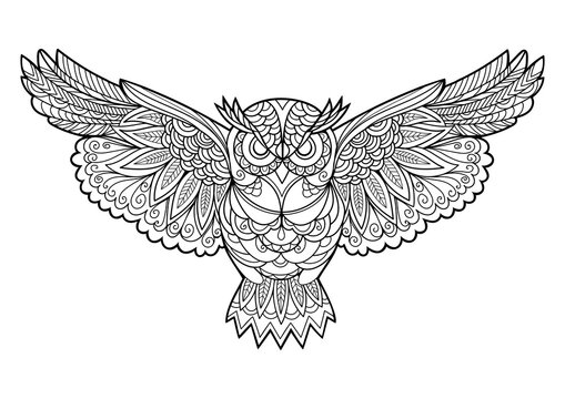 Owl coloring book for adults PNG illustration with transparent background