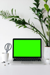 Laptop on dest green screen