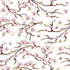 Cherry blossom, sweet floral seamless pattern, pink flowers, spring, Japanese sakura, cherry. Hand drawn. Vector