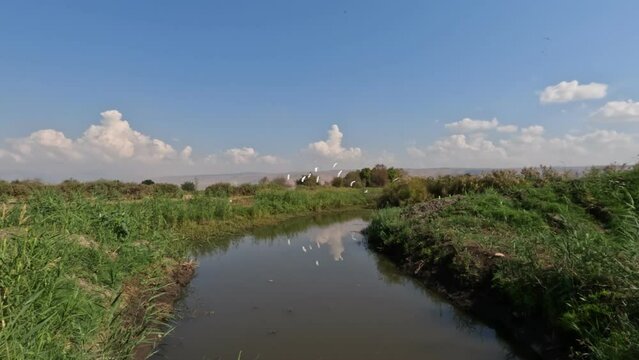 A stream of clean water against a cloudy sky, in Agmon Hula Nature Reserve - Northern of Israel