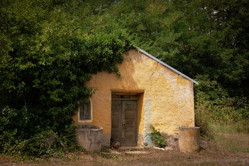 old house in the woods