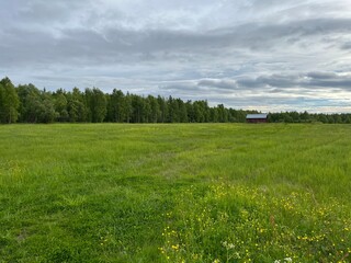 Green field view, summer landscape