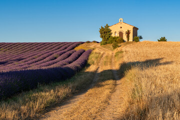 Fototapeta na wymiar Summer in Provence with lavender and wheat fields. Entrevennes chapel in the Alpes-de-Haute-Provence, France