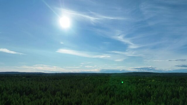 Scenic fly over Northern Scandinavian forest, sunny summer day with blue sky, evergreen forest below. Aerial video