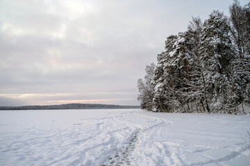 winter landscape with trees and snow