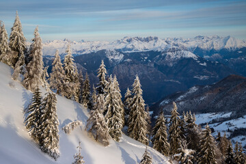 Winter landscape with snow covered trees illuminated by early morning light, Valle Camonica, Italian Alps, Lombardy, Italy.