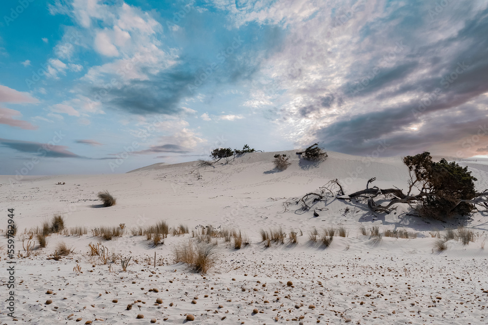 Poster Sand dunes on the beach by the sea near the town of Porto Pino on the island of Sardinia in Italy
