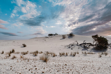 Sand dunes on the beach by the sea near the town of Porto Pino on the island of Sardinia in Italy
