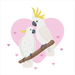 Colorful love parrots couple. Cute cartoon cockatoo with pink hearts. Happy Valentine s day concept. Be my Valentine vector illustration