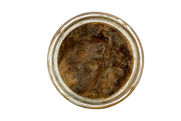 bay bolete mushroom in the jar