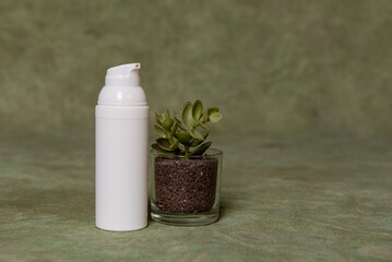 Modèle de mock up cosmétique blanc sur fond vert avec un petit succulent