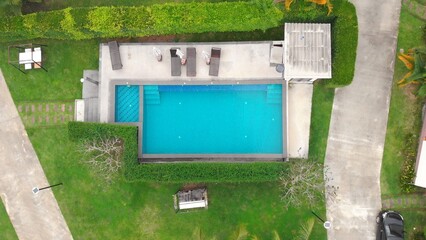 Fluffy gray cat in sunglasses resting on sun lounger by pool. Rest of pets in tropical countries. Vacation with cat at pool. A surial cat with glasses sunbathe like man by pool. Pets behave like owner