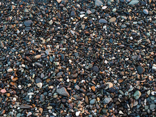 pebble beach texture - wet small stones on the sea