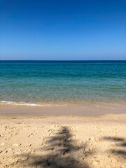 Fototapeta na wymiar beach, palm trees and Andaman sea in Thailand on Phuket island