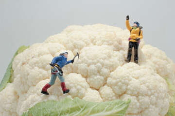 figures ice climber on Whole Cauliflower Vegetable