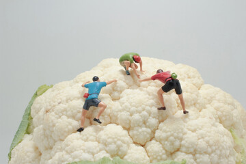 figures climber on Whole Cauliflower Vegetable