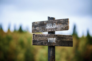 vintage and rustic wooden signpost with the weathered text quote solo vibe, outdoors in nature. blurred out forest fall colors in the background.