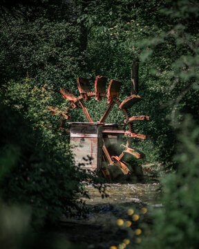 water wheel on a river in a forest