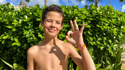 Young boy is enjoying at summer showing okay sign, close up portrait © Danko