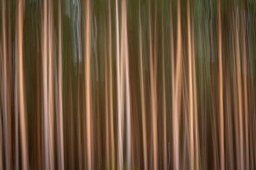Fototapeta premium abstract striped background