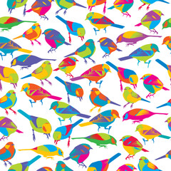Seamless pattern with colorful birds