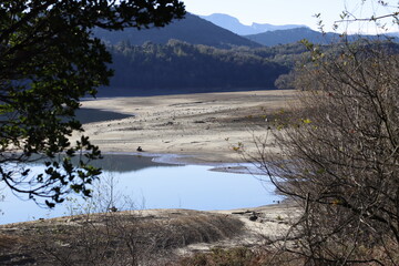 Low water level in a swamp due to drought