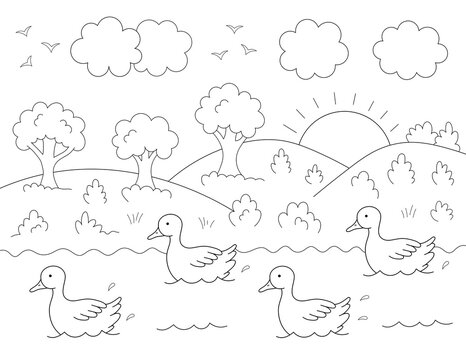 drawing of ducks, trees and clouds to color for children