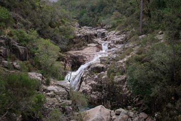 In nature, light creates the color. In the picture, color creates the light.