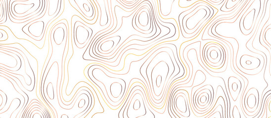 Geographic contour map. Abstract black and golden lines, vector illustration. Topography and geography map grid abstract backdrop. Business concept. 