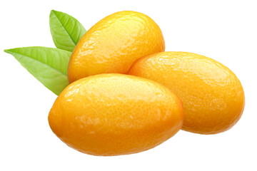 Kumquats (Citrus japonica fruits) group of three with leaves isolated png