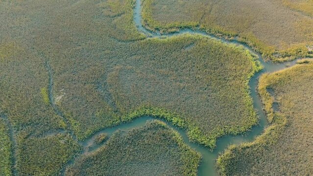 Aerial view passing over a salt marsh near Charleston, SC.