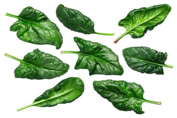 Spinach leaves, fresh (Spinacia oleracea) isolated png