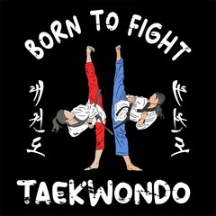 taekwondo logo icon vector