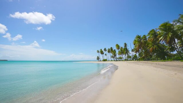 Walk along a tropical beach with blue sea waves. Green palm trees on yellow sand under a sunny blue sky. Summer holidays in the exotic islands of the Caribbean. Tropical travel.