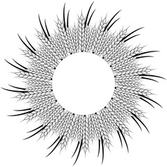 Round spike of wheat frame with space for text. Template for beer, bread packaging design or bakery design. Vector illustration