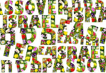 Passover. Pesah. Israel. Easter. Words made of wildflowers. Passover, Pesah (in Hebrew - פסח) - major Jewish spring festival. Easter - Spring Christians great holiday of the resurrection of Christ 