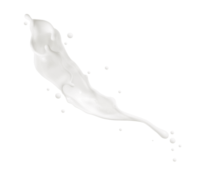 Milk splashes and drops in the air isolated on a white background