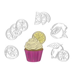 A set of cakes with lemons. Vector illustration in hand drawn style.