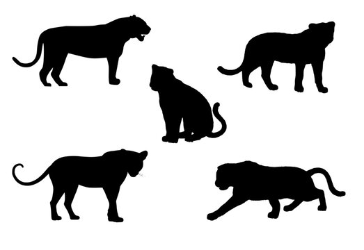 Set of five panther silhouettes