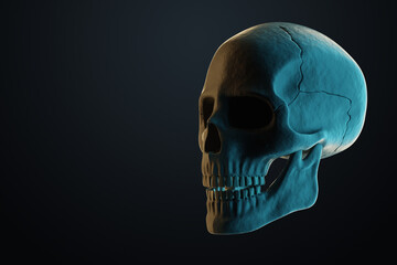 Human skull on a dark background. 3D render, 3D illustration.