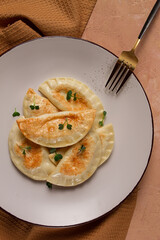 Pierogi, a traditional dish of Polish cuisine, dumplings, top view, close-up, no people,